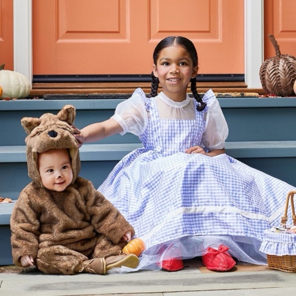 Toto Costume Pottery Barn Wizard of Oz size 6-12 months
